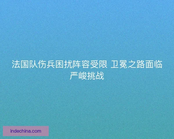 法国队伤兵困扰阵容受限 卫冕之路面临严峻挑战